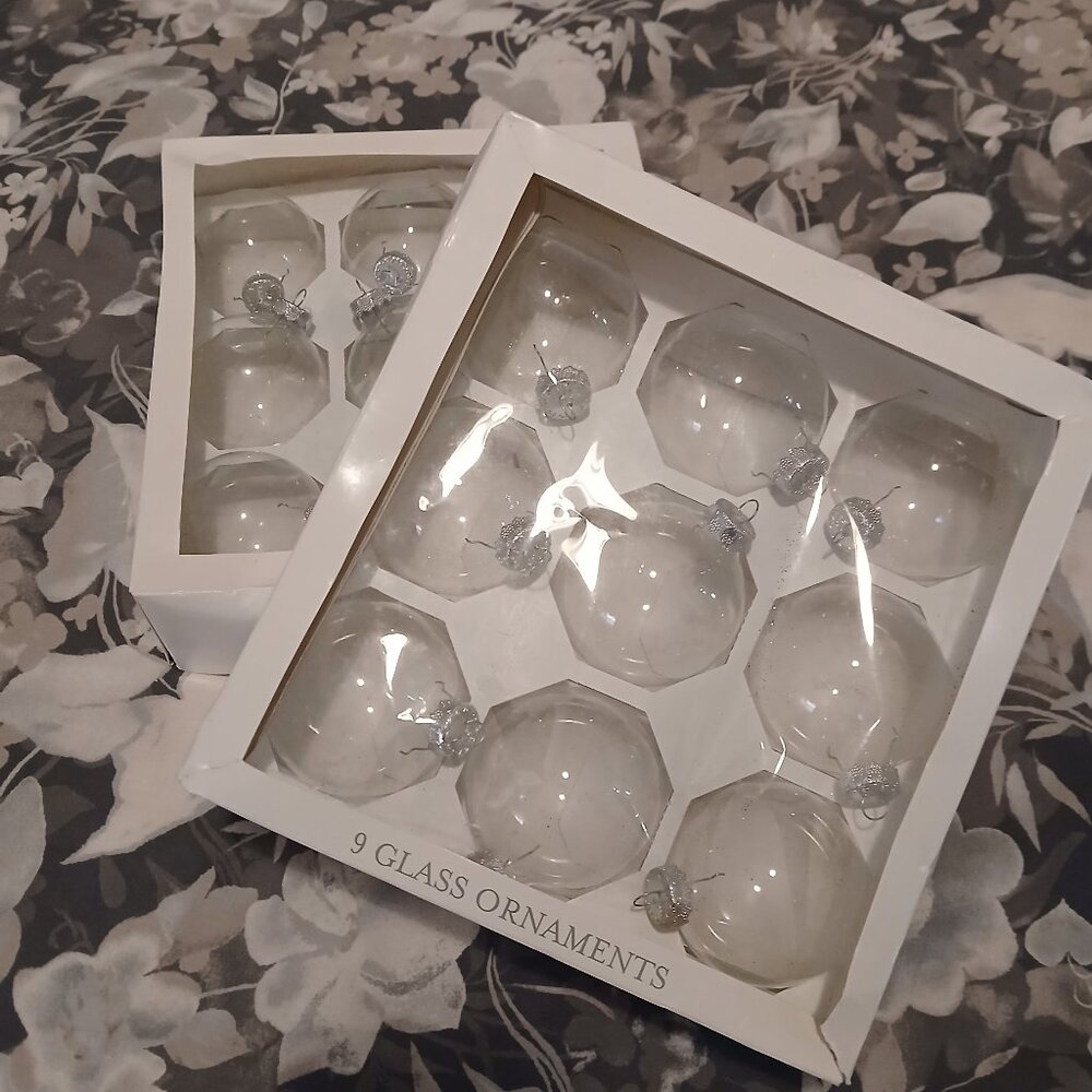 Glass Christmas Ornaments (16)